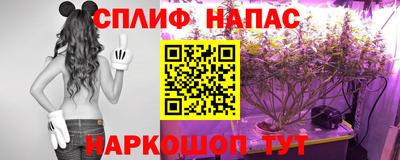 ECSTASY Тула